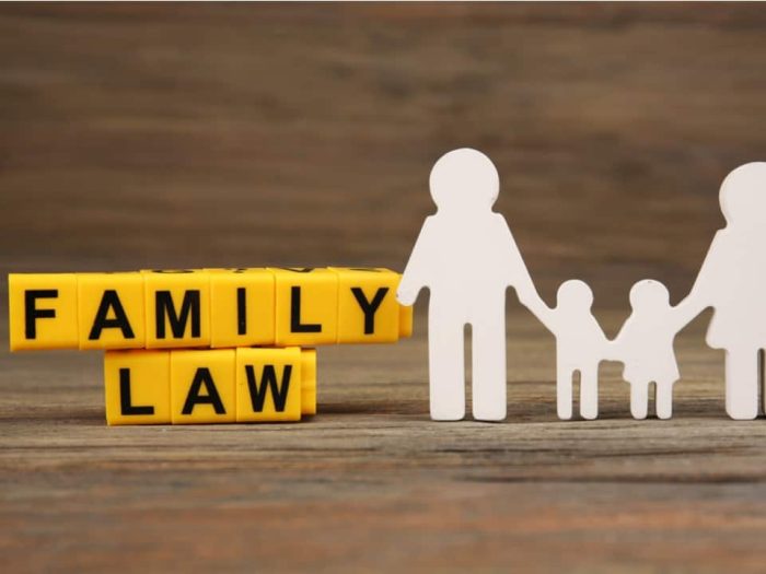Family-Lawyer